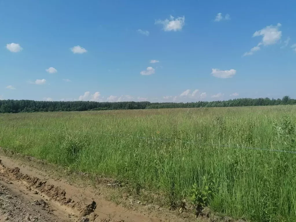 Участок в Московская область, Дмитровский городской округ, Раменье дп  ... - Фото 0