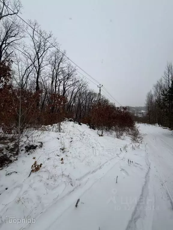 Участок в Амурская область, Благовещенский район, с. Чигири ... - Фото 2