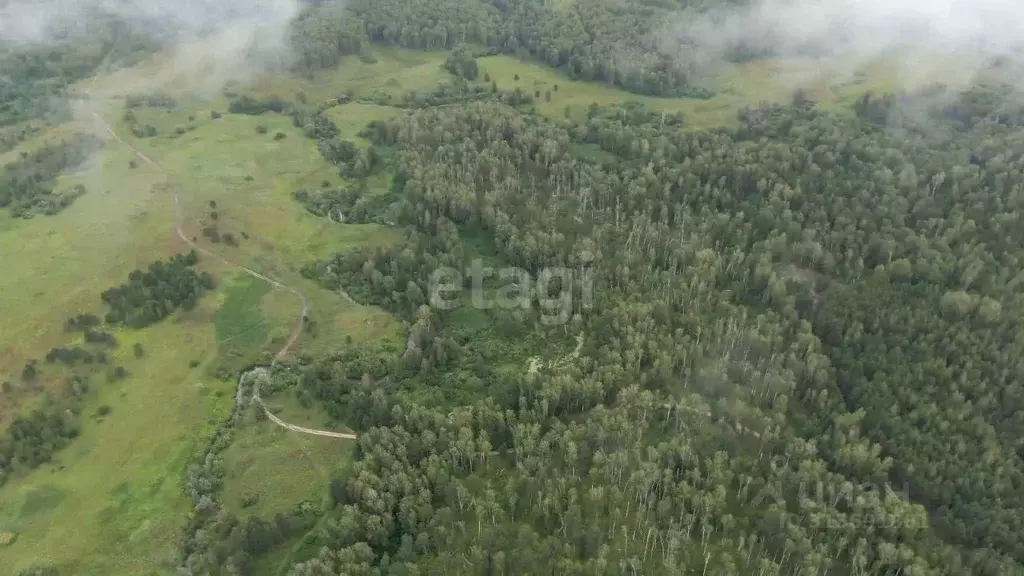 Участок в Новосибирская область, Мошковский район, с. Сокур  (10.0 ... - Фото 1