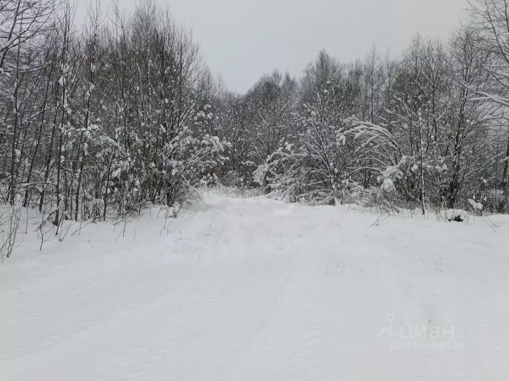 Участок в Ленинградская область, Киришский район, Будогощь пгт ул. ... - Фото 2