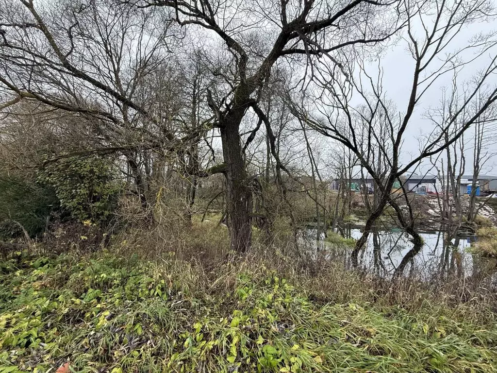 Участок в Московская область, Наро-Фоминский городской округ, д. ... - Фото 2