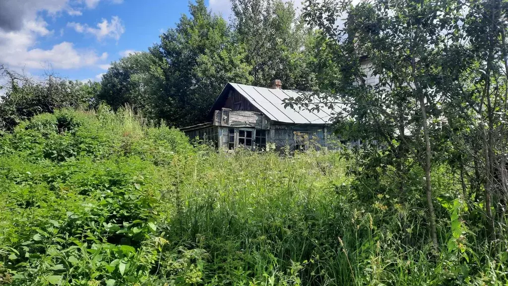 Дом в Тульская область, Тула пос. Хомяково, Новая ул., 26 (38 м) - Фото 0