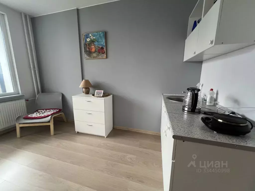 Студия Санкт-Петербург бул. Александра Грина, 3 (23.5 м) - Фото 2