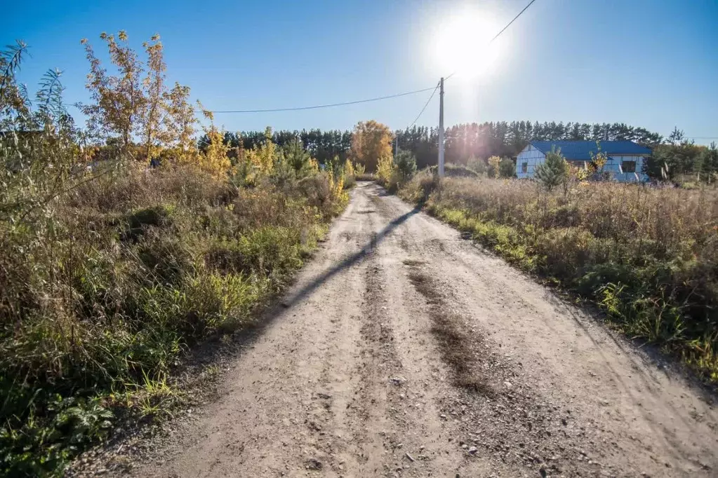 Участок в Новосибирская область, Бердск ул. Раздольная (6.0 сот.) - Фото 1