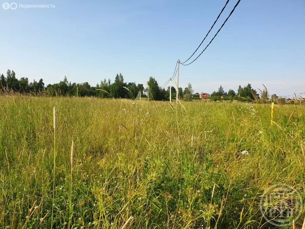 Участок в Велигонты, Ропшинское шоссе (10 м) - Фото 1