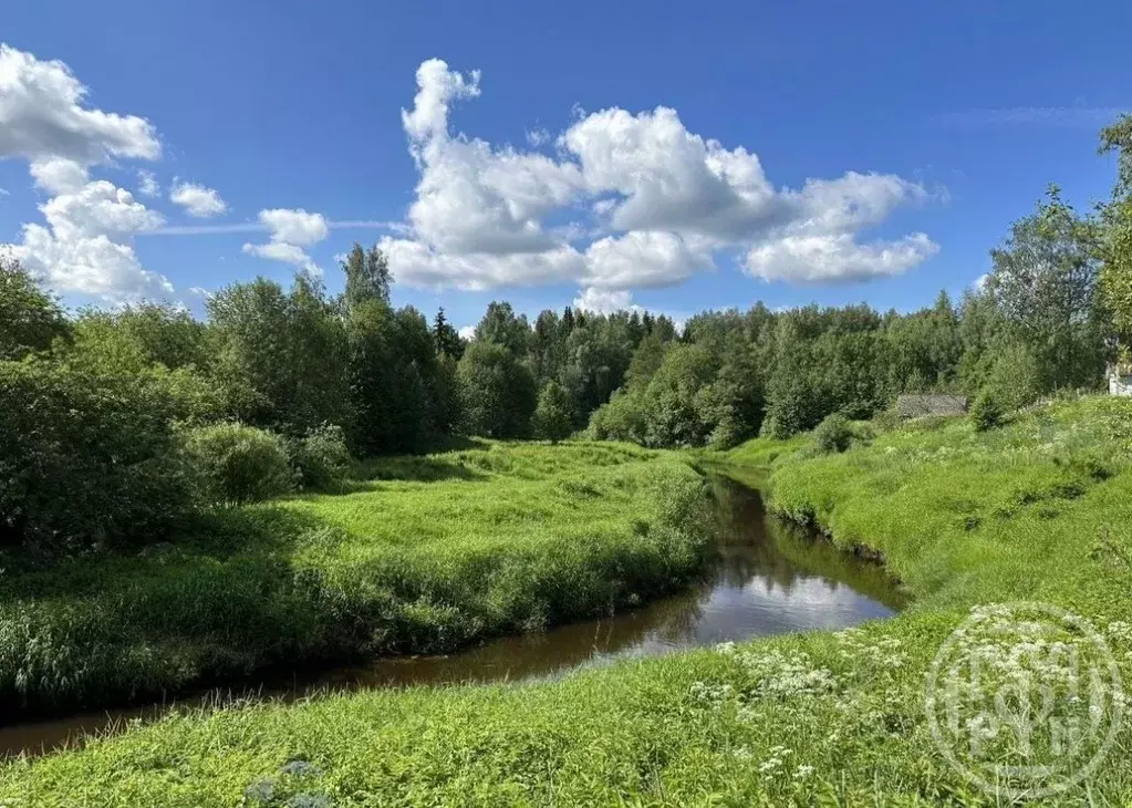Участок в Ленинградская область, Тихвинское городское поселение, д. ... - Фото 1
