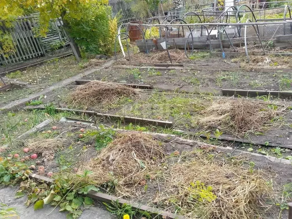 Дом в Челябинская область, Челябинск Тракторосад-2 садовое ... - Фото 1