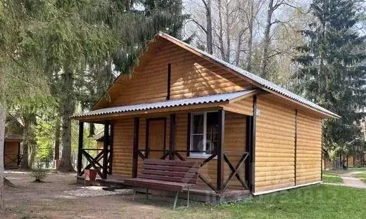 Дом в Ленинградская область, Лужский район, Скребловское с/пос, д. ... - Фото 1