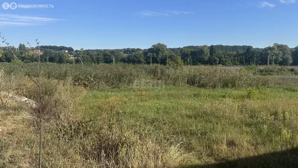 Участок в село Пушкарное, Зареченская улица (22.1 м) - Фото 2
