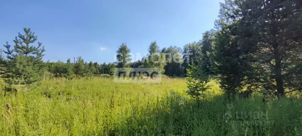 Участок в Московская область, Одинцовский городской округ, с. Луцино, ... - Фото 1