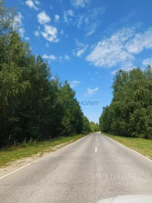 Участок в Нижегородская область, Богородский муниципальный округ, д. ... - Фото 1
