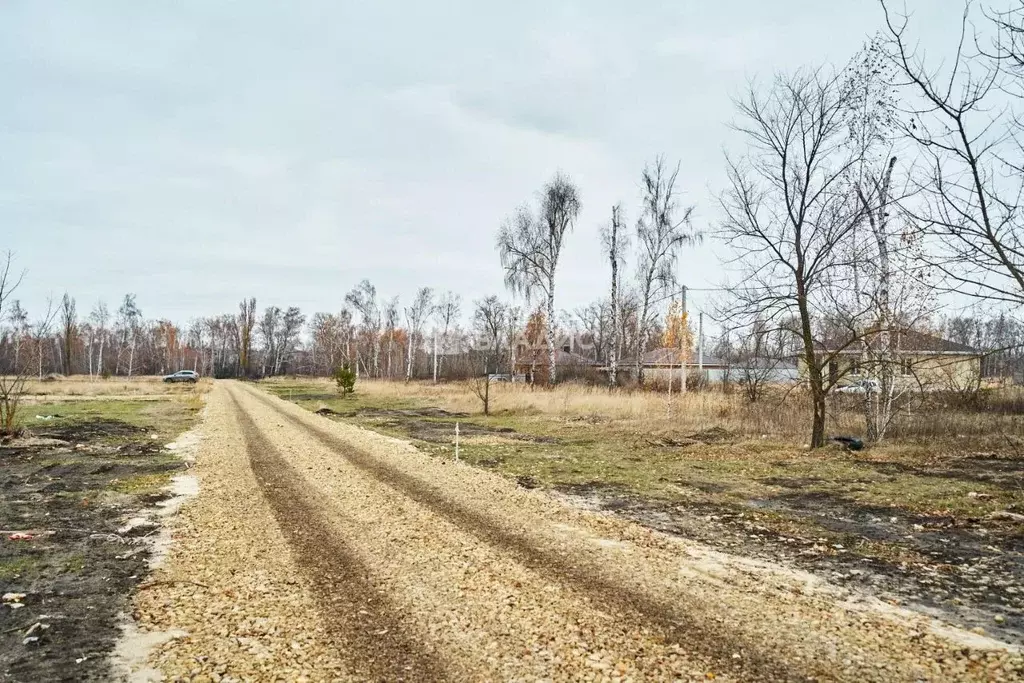 Участок в Воронежская область, Воронеж ул. Славянова (5.2 сот.) - Фото 1