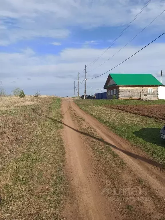 Участок в Пермский край, Пермский муниципальный округ, с. Кояново  ... - Фото 0