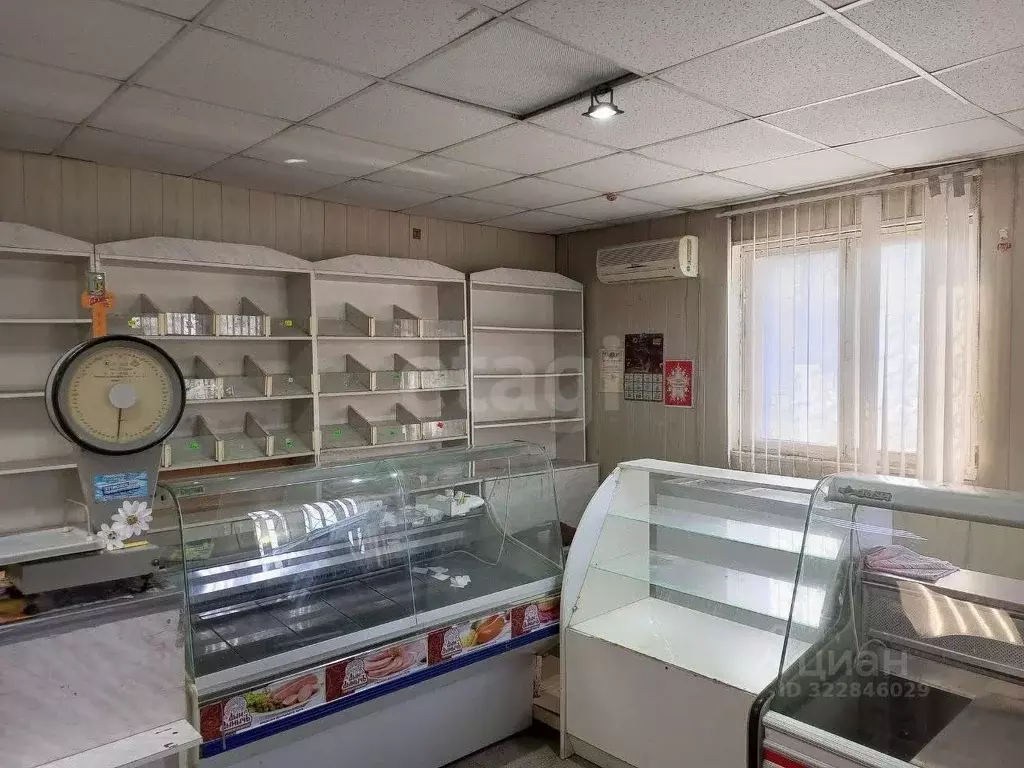 Торговая площадь в Воронежская область, Верхнехавский район, с. ... - Фото 2