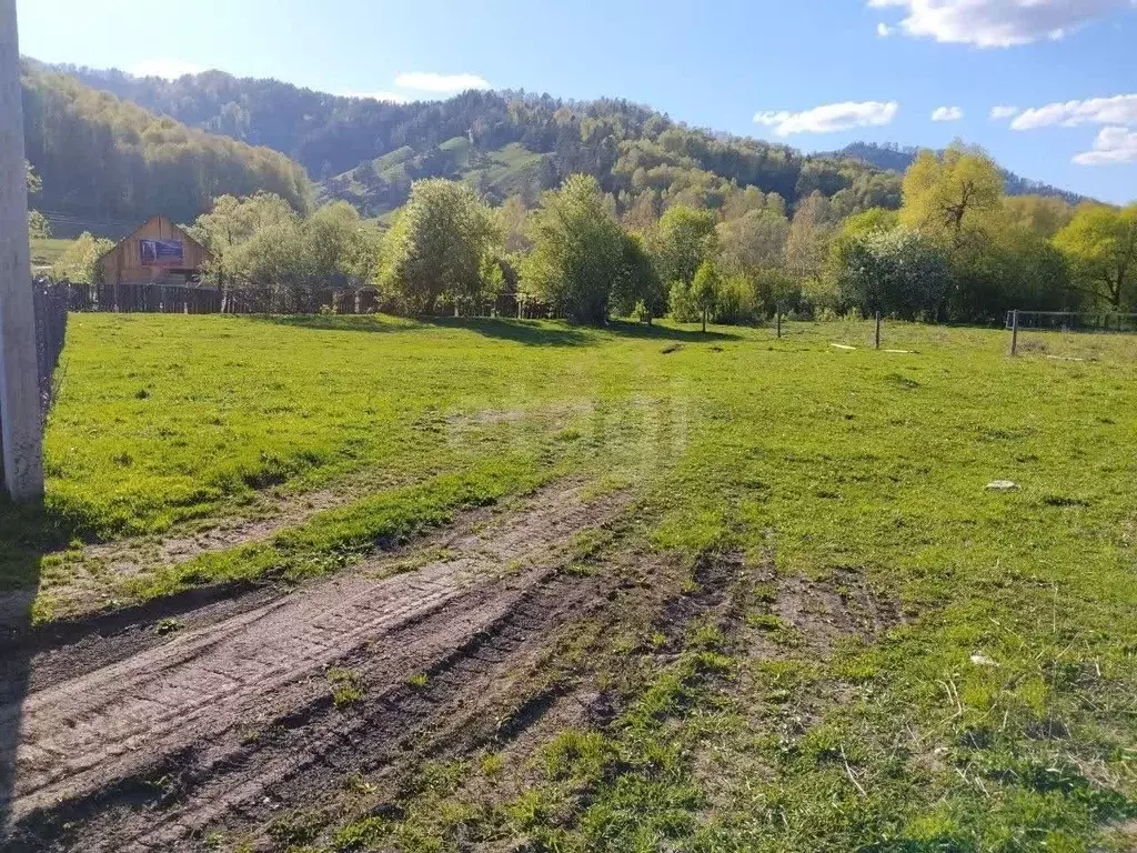 Участок в Алтай, Майминский район, с. Бирюля ул. Молодежная (12.0 ... - Фото 1