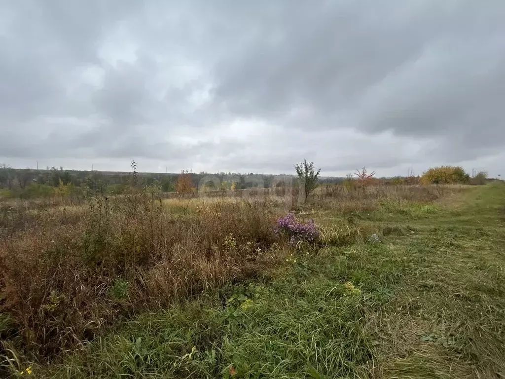 Участок в Белгородская область, Прохоровка рп, пос. Борщевка ул. ... - Фото 2