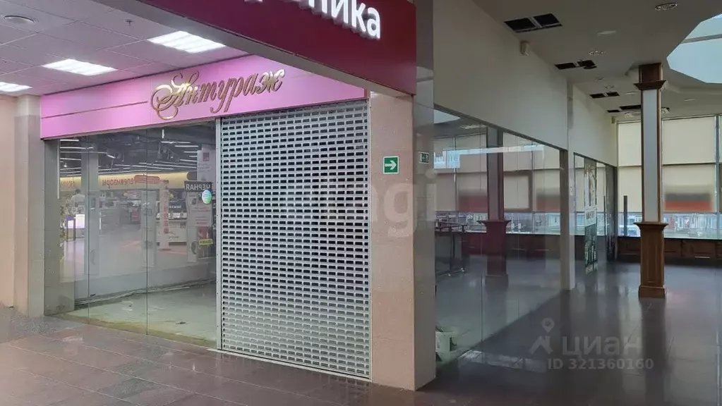 Торговая площадь в Псковская область, Псков Коммунальная ул., 41 (72 ... - Фото 2