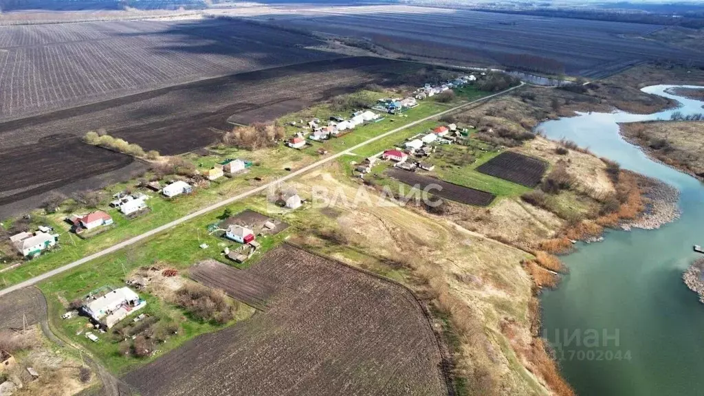 Участок в Воронежская область, Новоусманский район, Нижнекатуховское ... - Фото 1