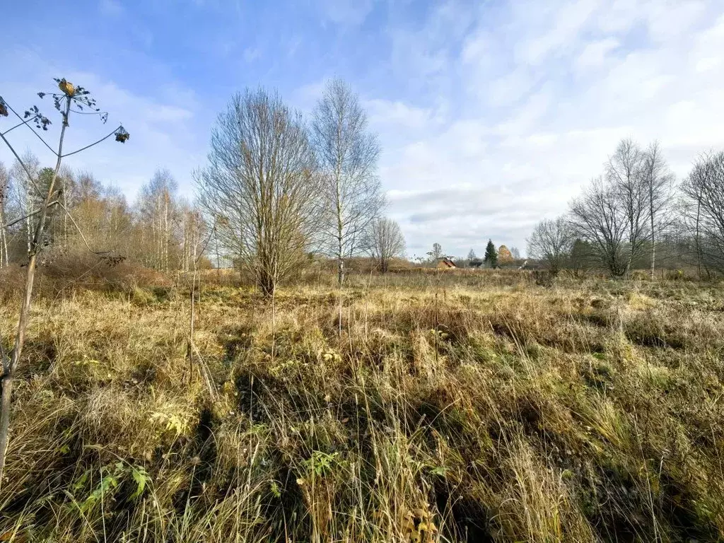 Участок в Тверская область, Калязинский муниципальный округ, д. ... - Фото 2