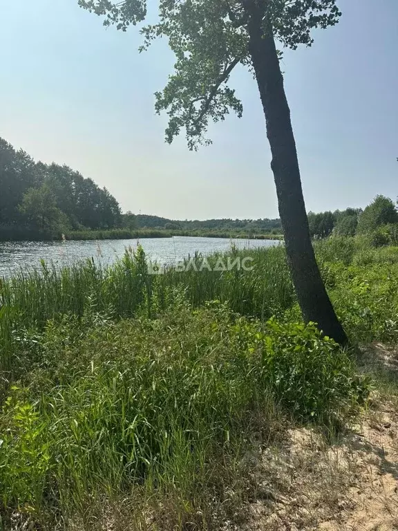 Дом в Воронежская область, Рамонь рп ул. Пристанционная, 50 (37 м) - Фото 0