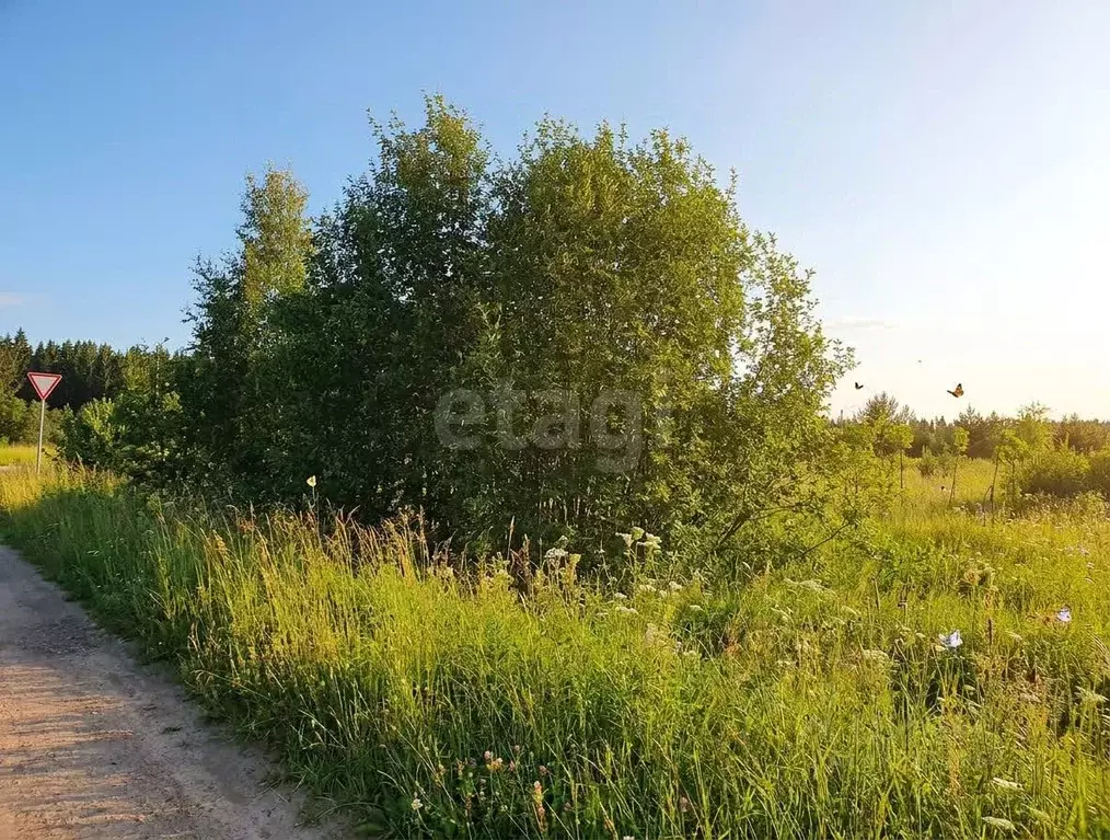 Участок в Вологодская область, Великоустюгский муниципальный округ, ... - Фото 1