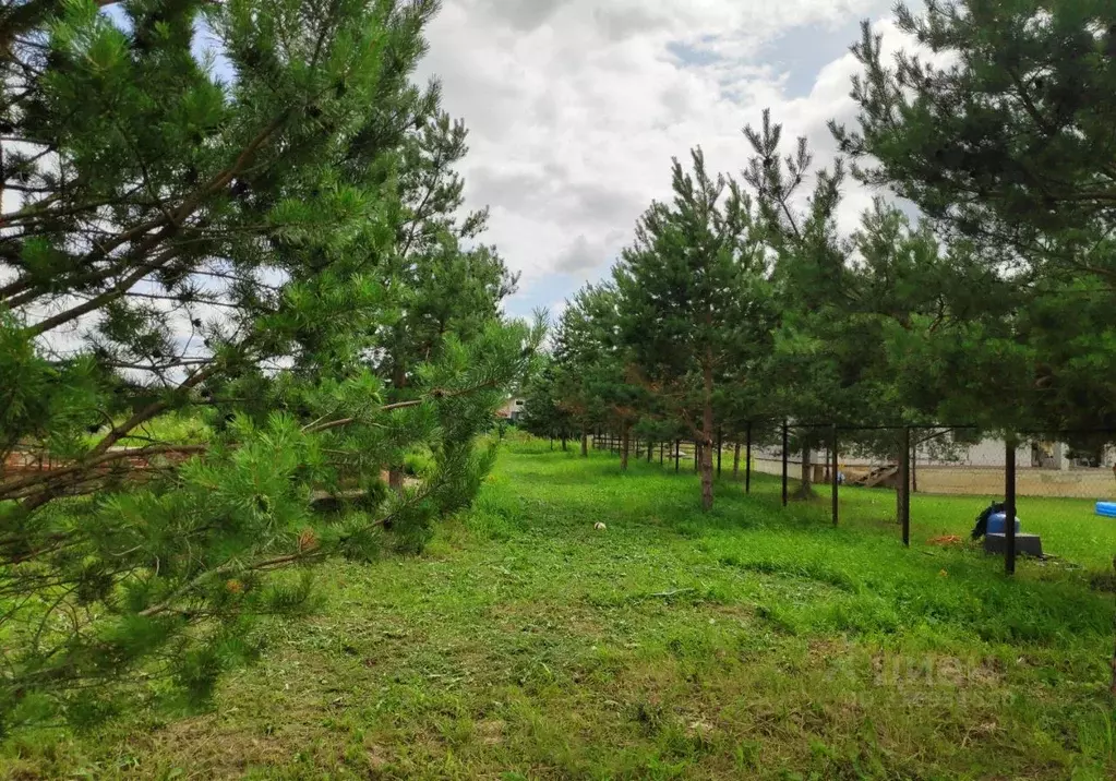 Участок в Калужская область, Боровский муниципальный округ, д. Лучны  ... - Фото 1