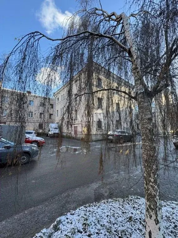 Комната Санкт-Петербург ул. Тарасова, 12/18 (22.0 м) - Фото 1