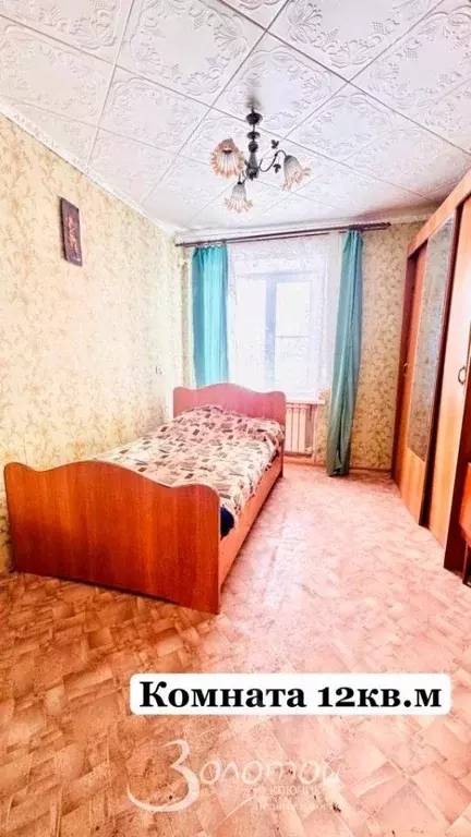 3-к кв. Нижегородская область, Богородский муниципальный округ, д. ... - Фото 2