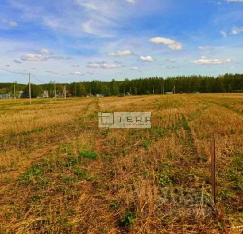 Участок в Башкортостан, Иглинский район, Калтымановский сельсовет, с. ... - Фото 1