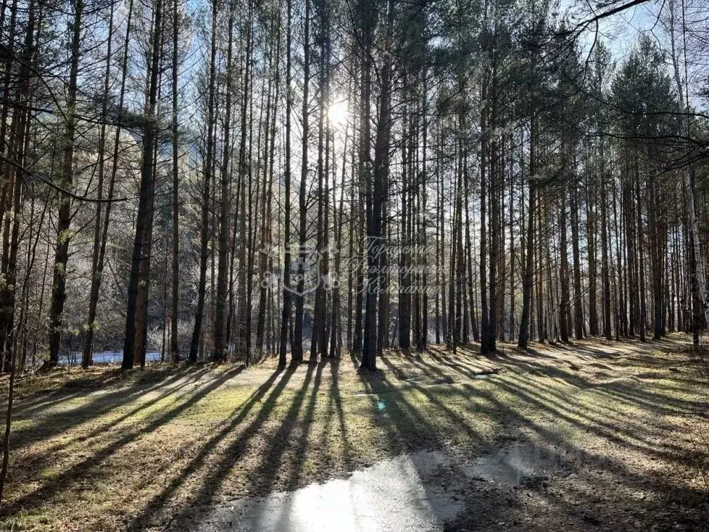 Участок в Иркутская область, Иркутский муниципальный округ, пос. ... - Фото 1