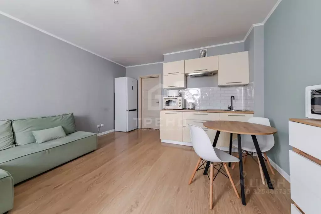 Студия Санкт-Петербург просп. Энергетиков, 11к2 (25.7 м) - Фото 1