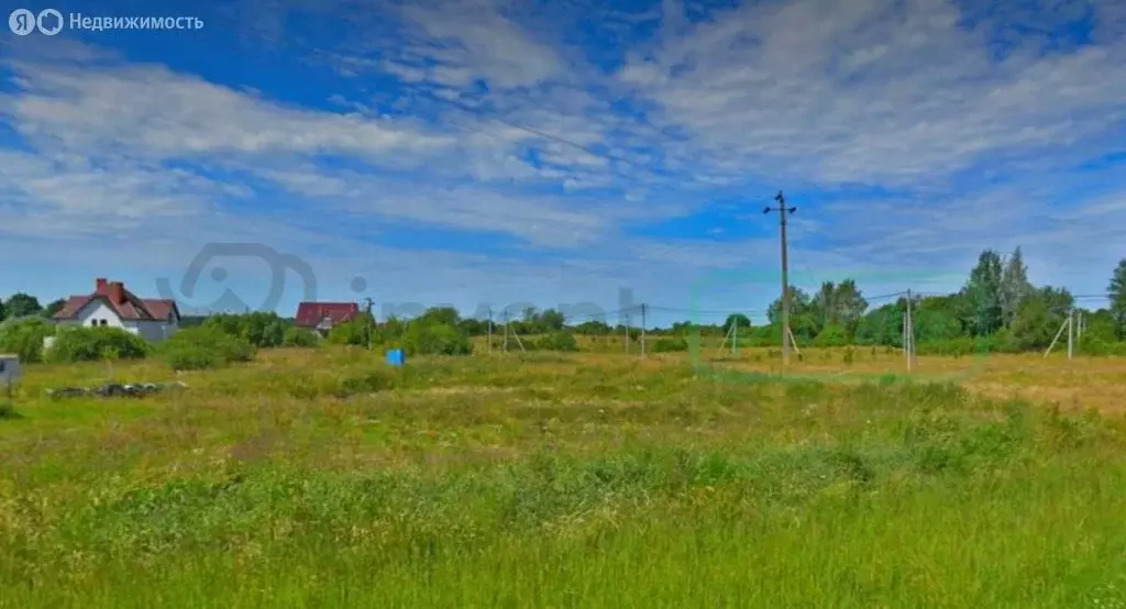 Участок в Калининградская область, Гурьевский муниципальный округ, ... - Фото 1