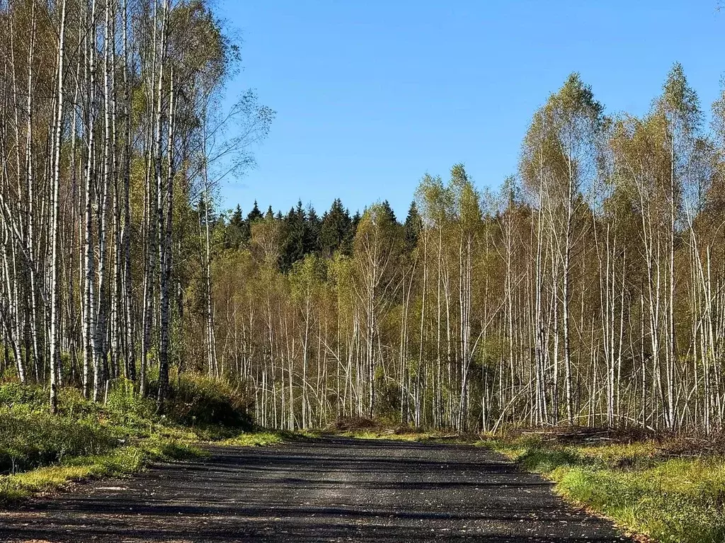 Участок в Московская область, Дмитровский муниципальный округ, Дом у ... - Фото 1