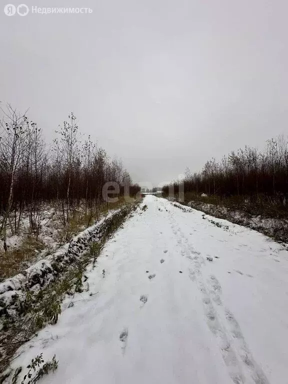 Участок в Дмитровский городской округ, деревня Кончинино (10 м) - Фото 1