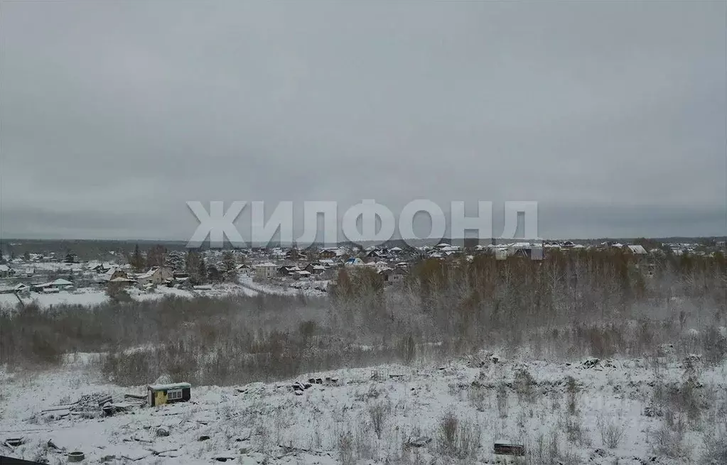 1-к кв. Новосибирская область, Новосибирский район, Каменский ... - Фото 1