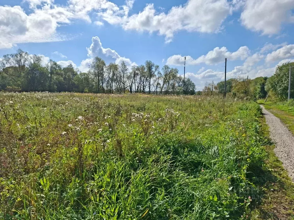 Участок в Тульская область, Веневский муниципальный округ, с. Тюнеж  ... - Фото 2