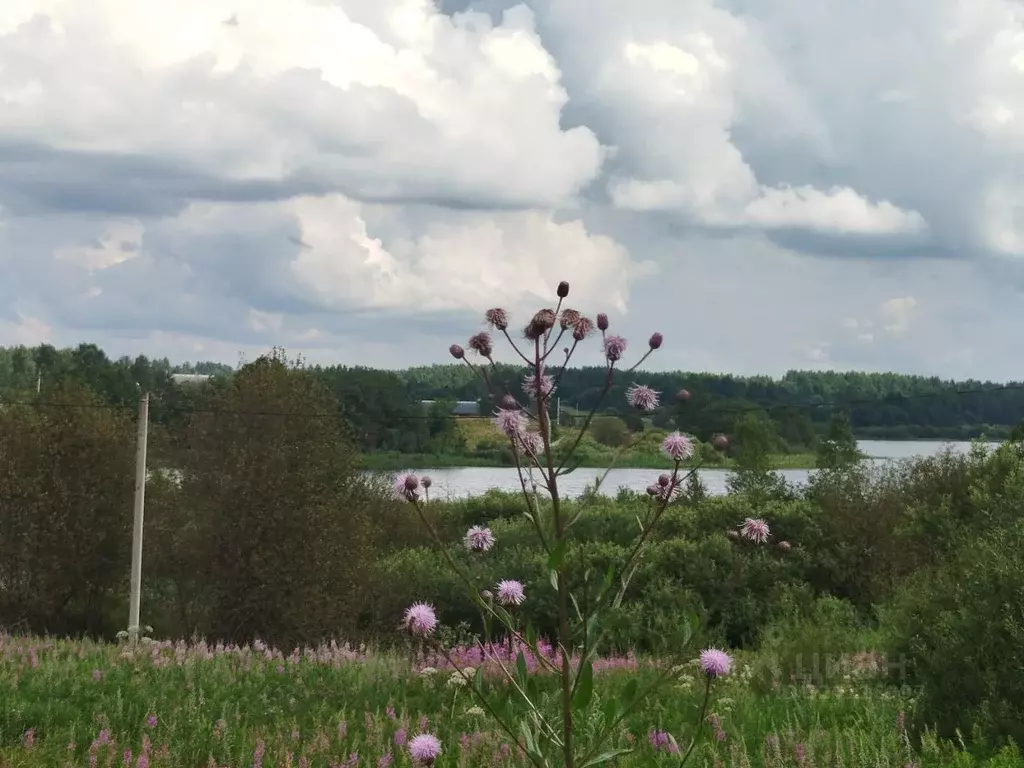 Участок в Новгородская область, Валдайский район, Ивантеевское с/пос, ... - Фото 2