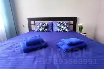 2-к кв. Хабаровский край, Хабаровск Тихоокеанская ул., 129 (54.0 м) - Фото 0