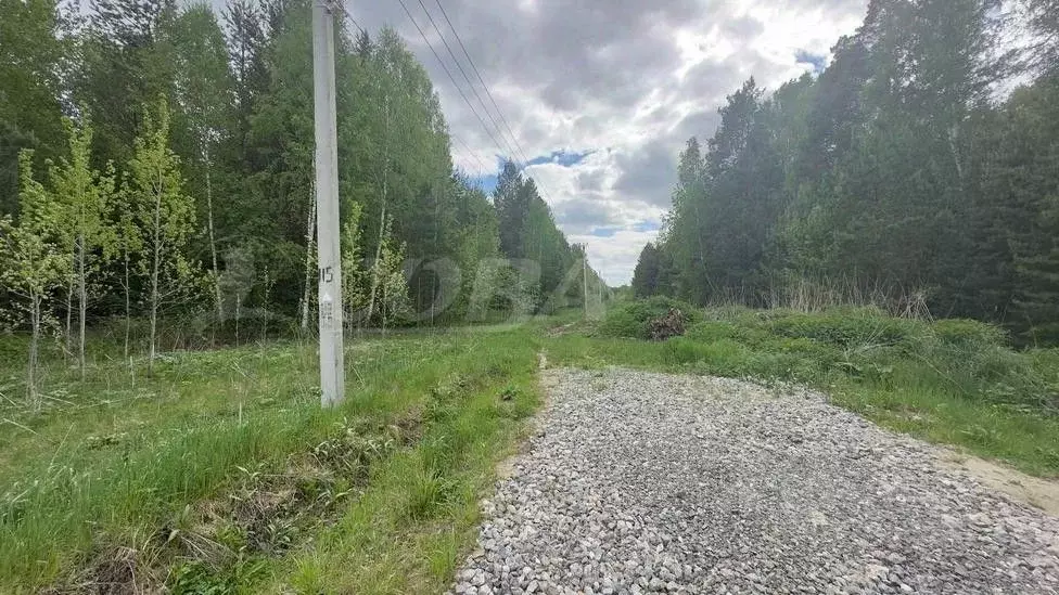 Участок в Тюменская область, Нижнетавдинский район, с. Тюнево ... - Фото 1