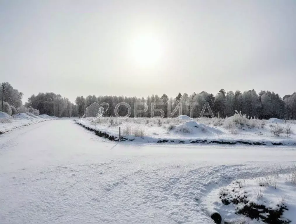Участок в Тюменская область, Тюменский муниципальный округ, д. ... - Фото 2