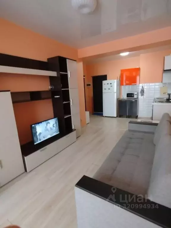 Студия Краснодарский край, Сочи Донская мкр, ул. Пасечная, 45Г/1 (28.0 ... - Фото 2