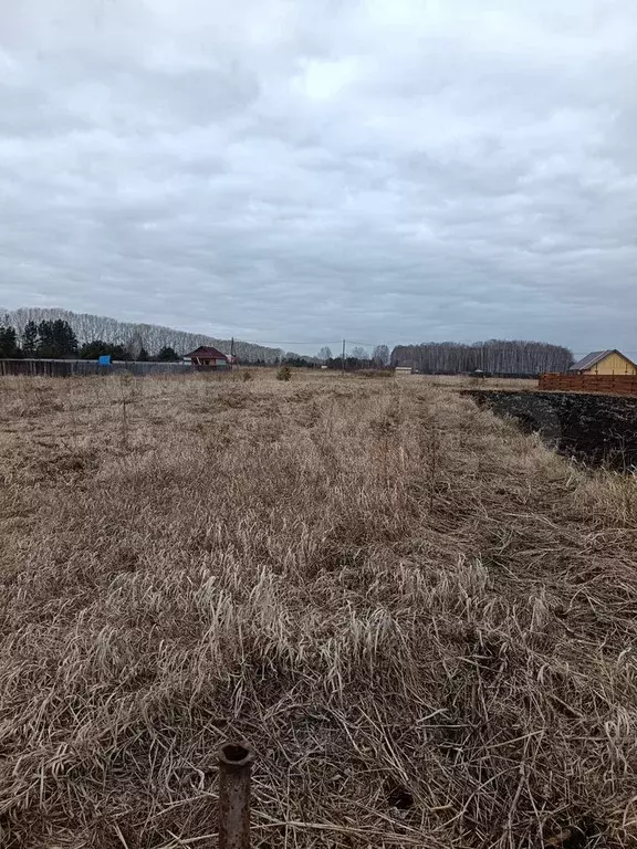 Участок 13 сот. (СНТ, ДНП) - Фото 0