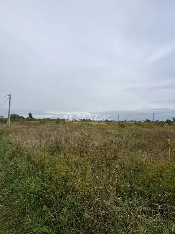 Участок в Калининградская область, Гурьевский муниципальный округ, ... - Фото 2