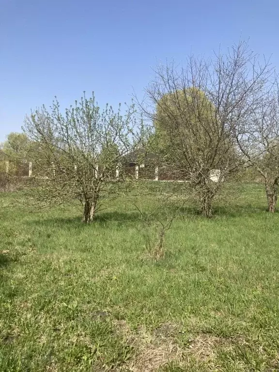 Участок в Орловская область, Орловский район, д. Гать ул. Солнечная, ... - Фото 0