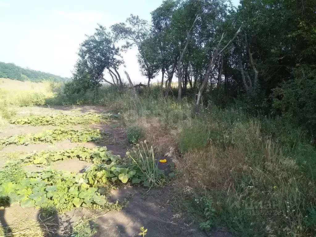 Участок в Белгородская область, Белгородский район, Пушкарское с/пос, ... - Фото 0