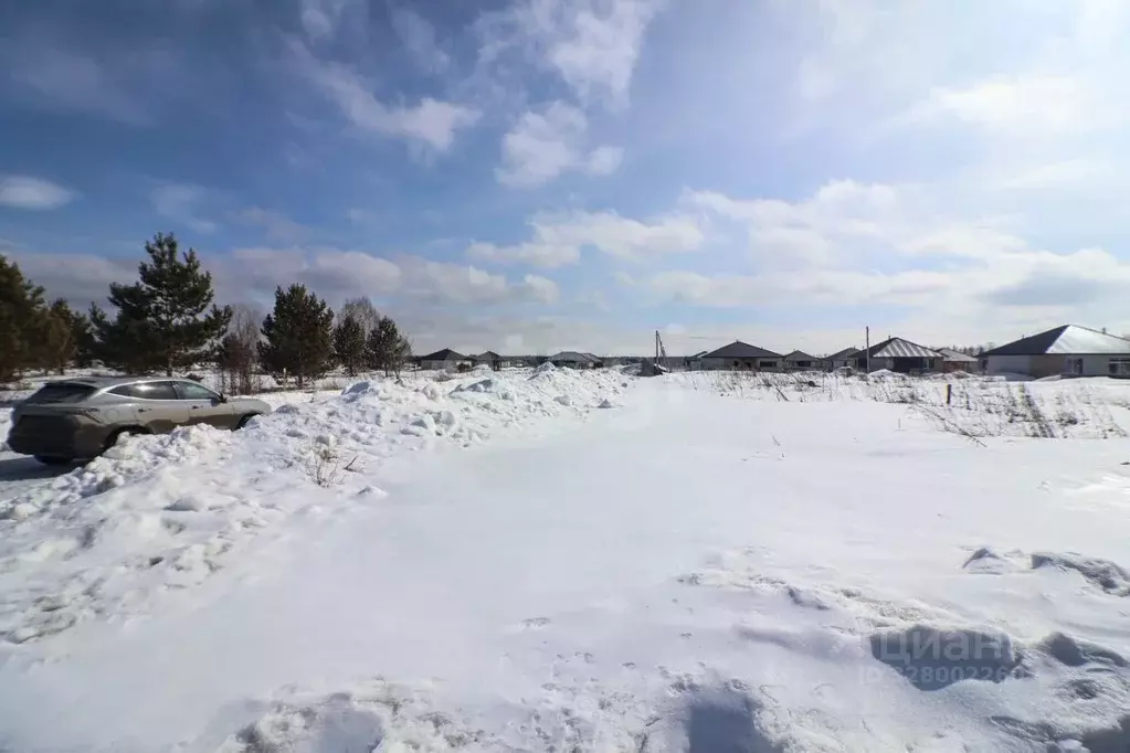 Участок в Алтайский край, Павловский район, пос. Новые зори ул. ... - Фото 1