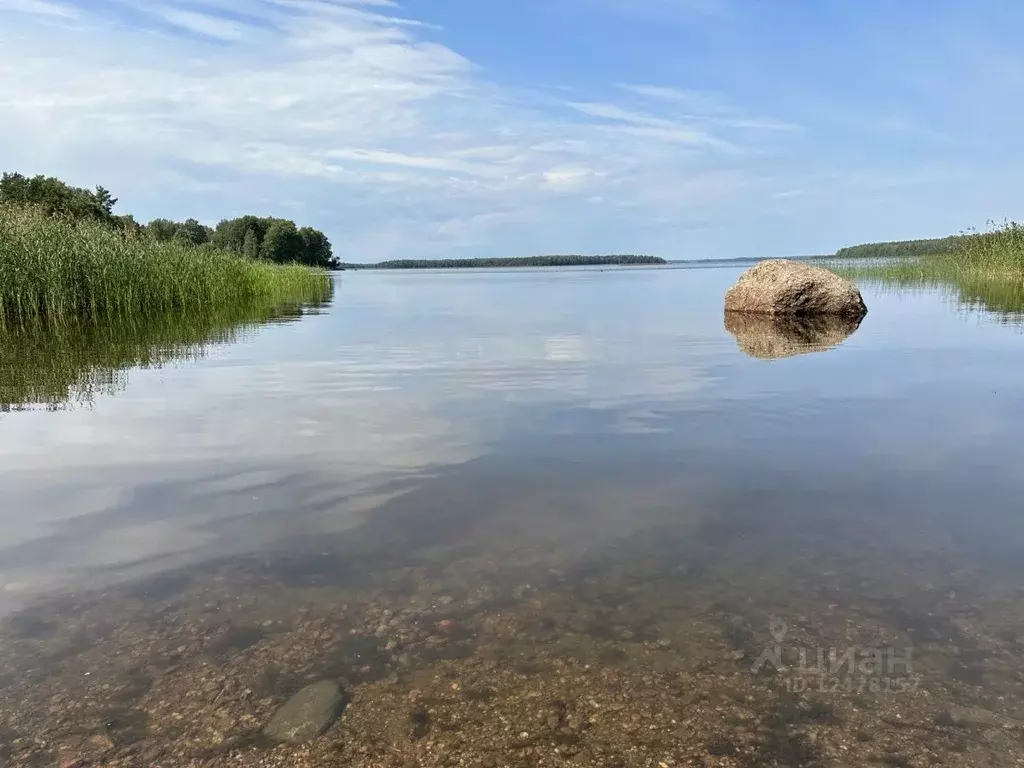 Погода в медянке выборгского