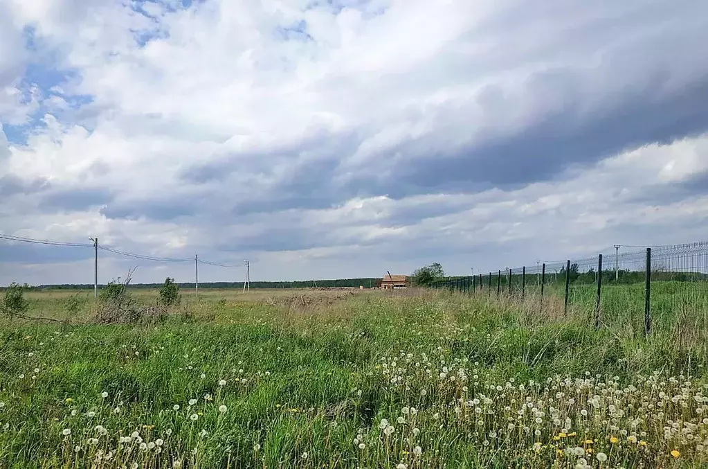 Участок в Ленинградская область, Ломоносовский район, Аннинское ... - Фото 1