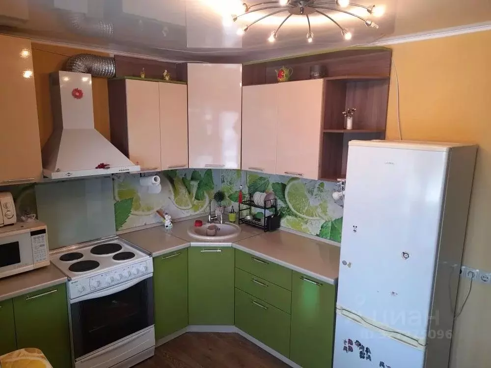 1-к кв. Тюменская область, Тюмень ул. Белинского, 1а (37.0 м) - Фото 2