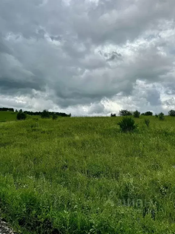 Участок в Алтайский край, Солонешенский район, с. Искра  (6000.0 сот.) - Фото 1